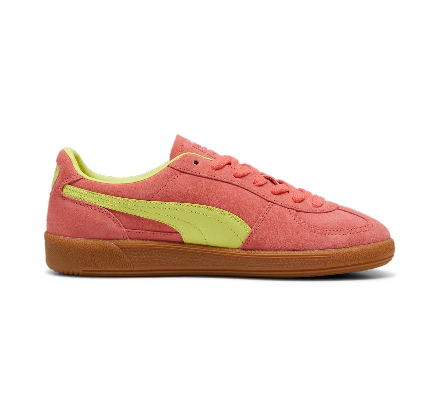 Puma Palermo
