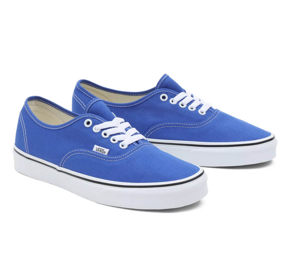 Vans Authentic Color Theory, Sneakers Homme, Vans